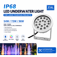Projecteur LED haute puissance pour piscine, étanche IP68, en acier inoxydable 316L, DMX512, 3500K blanc chaud, AC/DC24V