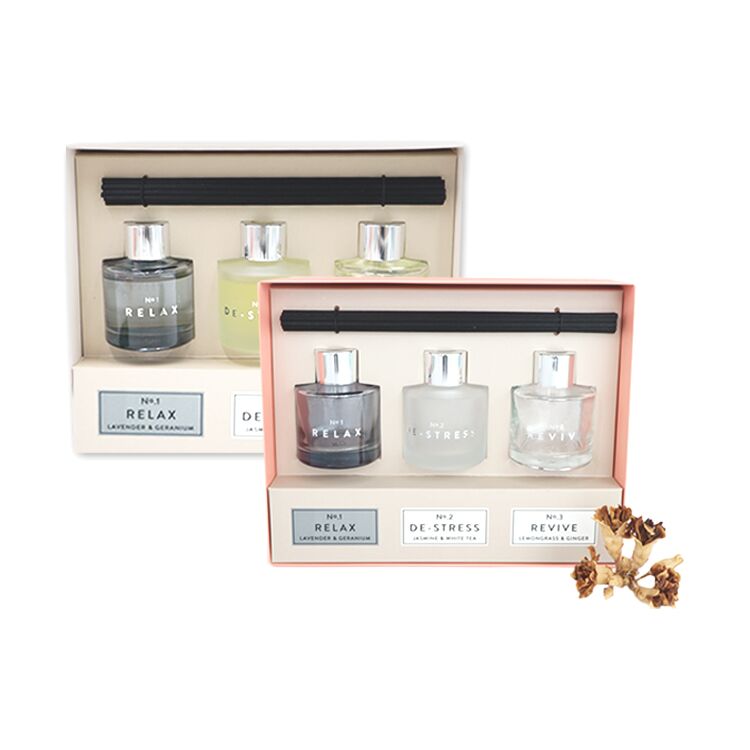 Wholesale Luxury Reed Diffuser Set Gift 2