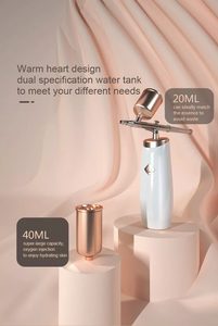 Appareil Facial Portable de rajeunissement de la peau, mini injecteur d'oxygène, 1 pièce, 2022, vente en gros - Product Image 5