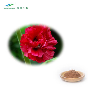 Extrait de racine d'Althaea Officinalis de haute qualité, extrait de racine d'<span class=keywords><strong>Althea</strong></span> 10:1, extrait naturel de feuille de guimauve pour produits sains - Product Image 1