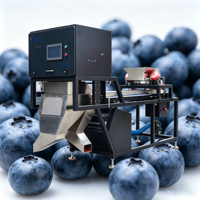 Industriële blauwe bessen kleursorteermachine, fruitreinigings- en sorteerlijn, bandtype blauwe bessen kleursorteermachine