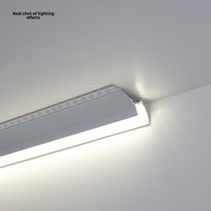 Recessed LED Linear Light Double Eyelid