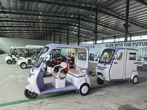 <span class=keywords><strong>Triciclo</strong></span> <span class=keywords><strong>Elettrico</strong></span> di Alta Qualità Estetica da 800W con Equipaggiamento Intelligente - Product Image 6
