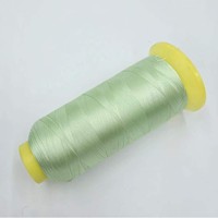 AUDIS Çevre Dostu %100 Polyester Filament Merserize Yüksek Dayanımlı Nakış İpliği 108D Makine Nakışı Tığ İşi Dikişi için