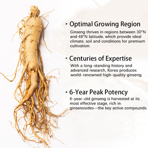 Bandes orales WXW Ginseng <span class=keywords><strong>Propolis</strong></span> – Compléments nutritionnels sous forme de film mince pour stimuler l'endurance physique - Product Image 4