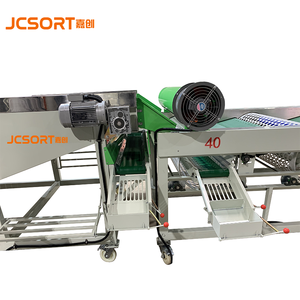 JC <strong>SORT</strong> Efficient Advanced <strong>Garlic</strong> Onion <strong>Sorting</strong> <strong>Machine</strong> Digital <strong>Garlic</strong> <strong>Sorting</strong> <strong>Machine</strong> <strong>Garlic</strong> Sizing <strong>Machine</strong> - Product Image 4