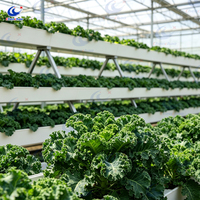 Système d'agriculture verticale multicouche personnalisé, système de culture hydroponique avec irrigation goutte à goutte pour la laitue