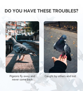 Pelacak burung keluaran baru pemosisian Waktu Nyata pelacak pelatihan balap merpati <span class=keywords><strong>Gps</strong></span> merpati cincin Chip pelacak <span class=keywords><strong>gps</strong></span> tag <span class=keywords><strong>Gps</strong></span> burung - Product Image 2
