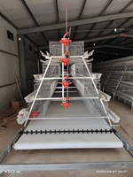 Poulailler préfabriqué en structure acier pour ferme, avec cage à poules pondeuses et système de collecte automatique des œufs