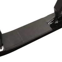 TXED Trottinette Électrique Populaire en Alliage d'Aluminium, Monovitesse, avec Batterie au Lithium, Frein à Disque, Moteur Arrière 36V, pour Ville et Neige