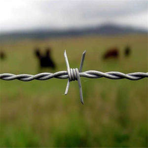 Оцинкованная колючая проволока катушка каждый рулон из нержавеющей стали железная проволока сталь прочный материал различных размеров доступны - Product Image 6