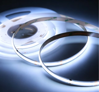 Bande LED 528-LED 10mm CRI 90+ 5m, double tension DC12V/24V, couleurs fidèles, ruban double couche pour chambre et meuble TV