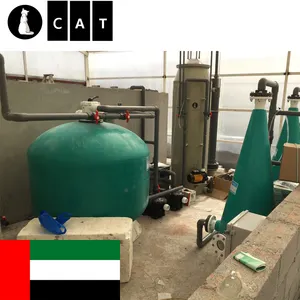 CATAQUA UAE Dubai Projekt Fortschritt liche Wels zucht ausrüstung Indoor Tilaipia Fischzucht ausrüstung