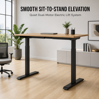Bureau assis-debout électrique à 2 niveaux avec double moteur dissimulé, réglable en hauteur, ergonomique, pour la maison et le bureau, mobilier informatique