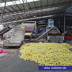 Customized Mesh Material Stainless Cassava Pulp Drying <b>Machine</b> for Wool Dry Food <b>Dehydration</b> <b>Machine</b> - Product Image 2