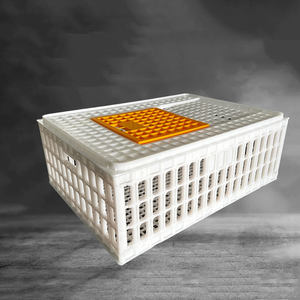 Jaulas de Plástico <span class=keywords><strong>para</strong></span> Aves de Corral <span class=keywords><strong>para</strong></span> Transportar Pollos Vivos, <span class=keywords><strong>Jaula</strong></span> de Transporte <span class=keywords><strong>en</strong></span> <span class=keywords><strong>Venta</strong></span> - Product Image 5