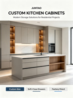 Meubles de cuisine et portes de placard en chêne massif modernes sur mesure, personnalisation complète de la maison, armoires de base