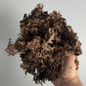 Sargasses séchées brutes pour l'alimentation animale-Vietnam Marine Resource Exportateur - Product Image 1