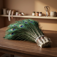 Plumes de paon naturellement teintées, vertes et bleues, pour costumes de carnaval, danse et artisanat