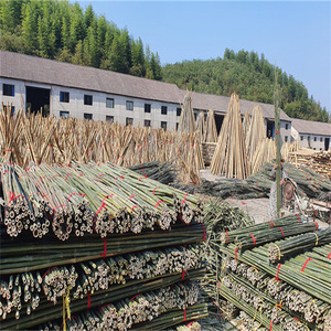 Los postes de <span class=keywords><strong>bambú</strong></span> negro crudo de construcción al por mayor suministran directamente varios <span class=keywords><strong>bambú</strong></span> blanco y verde para decorar jardines de <span class=keywords><strong>Bambú</strong></span> - Product Image 5