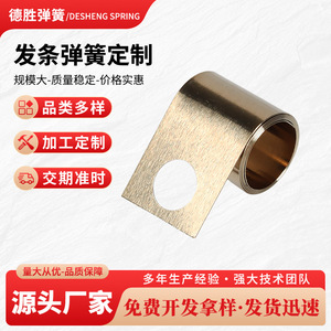 Resorte espiral de acero inoxidable Desheng Spring de fuerza constante, personalizable para aplicaciones de elevación de automóviles. - Product Image 5