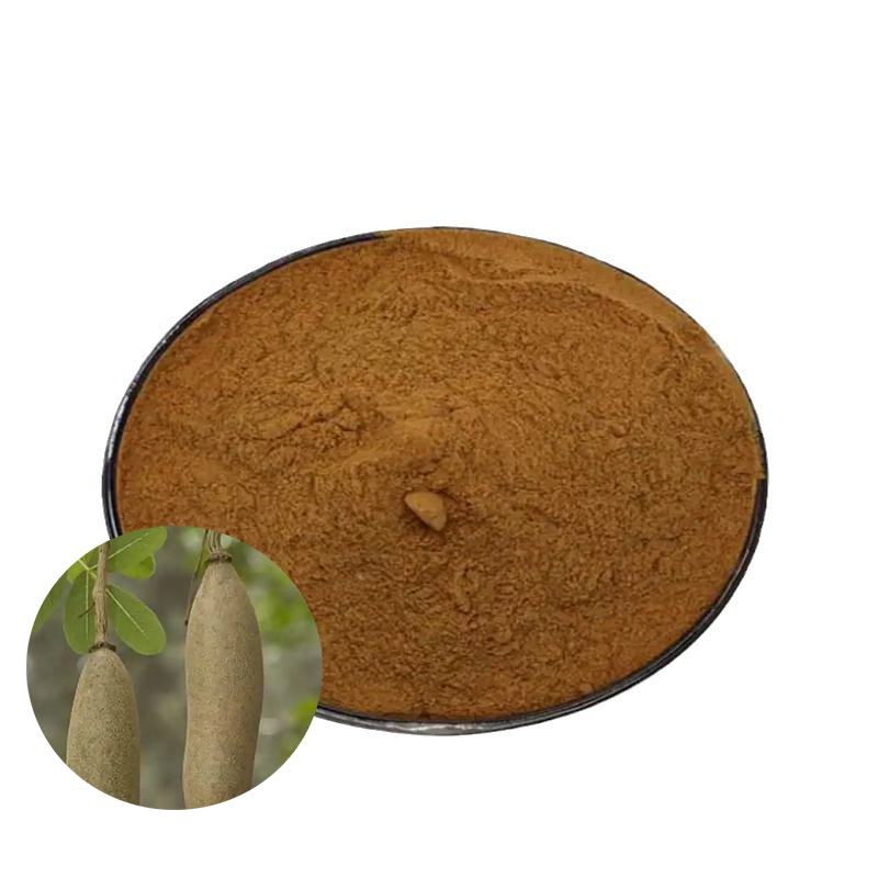 Колбаса дерево кигелия Африкана фруктовый экстракт Fructus Fontifolia 10:1 30:1 порошок чистоты 50:1