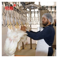Ligne de machine d'abattage de poulets entièrement automatique en acier inoxydable SUS304, homologuée CE, 4000 poulets/heure, au meilleur prix