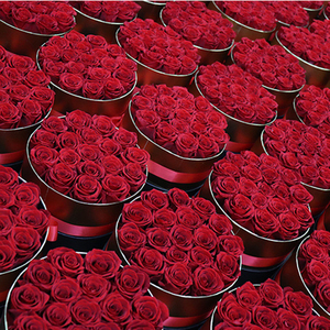 <span class=keywords><strong>Fleur</strong></span> Naturelle Éternelle de Haute Qualité, Rose Préservée Longue Durée en Boîte, Cadeau pour la Fête des Mères et la Saint-Valentin - Product Image 1