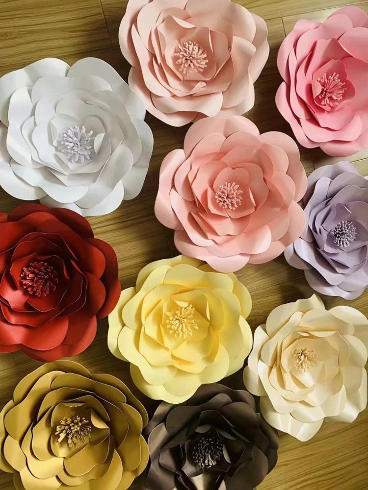 bulb for giant flower