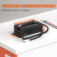 Chargeur de batterie professionnel automatique 36V(38.4V) 18A LiFePO4 Terminal léger 38.4V 18A M8 Terminal 36V 18A M8