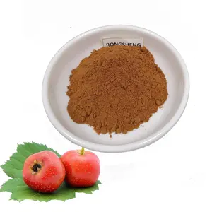 Wholesale Water Soluble Natural Dried Fresh Fruit Hawthorn Berry Extract Powder