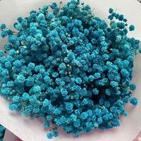 500g Bunga Kering Alami Gypsophila Preserved Babys Breath Grosir Buket Satu Paket Kustom untuk Dekorasi Karangan Bunga Kantor dan Pesta
