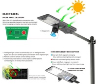 Lampadaire LED extérieur étanche IP65 avec caméra pour villa, jardin, parking, route publique et éclairage de rue