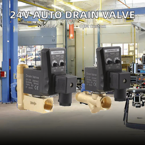 Válvula de Drenaje Automática Electrónica de Solenoide de Acero Inoxidable 304 de 24V OEM Personalizable para Control de Drenaje de Agua con Temporizador de Compresor de Aire - Product Image 3