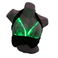 Sous-vêtements de soutien-gorge à fibres optiques lumineuses pour femmes lumière LED Costume de danse du ventre arabe sexy pour les fêtes