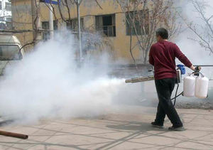 Máquina pulverizadora ligera de pesticidas para huertos, pulverizador de pulso de doble tubo tipo mochila, nueva máquina de pulverización de humo para granjas. - Product Image 4