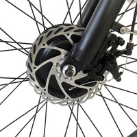 Logo personnalisé 24 "48V batterie au lithium tricycle électrique à 3 roues Oem 500w tricycles électriques longue distance pour adulte