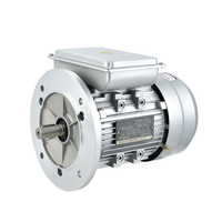 Moteur asynchrone monophasé série YL 0,75 kW 220 V 2800 tr/min à boîtier en aluminium pour condensateur - Vente chaude