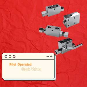 VBPSL VRPE Pemeriksaan <span class=keywords><strong>Pilot</strong></span> ganda tunggal, Valvulas Gemels hidrolik POCV untuk peralatan mesin & silinder hidrolik - Product Image 6