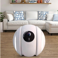 Juguete Robótico para Gatos con Control Inteligente por Aplicación Pet Mate, Divertido Diseño de Silicona y Goma, Ecológico, Interactivo, Deportivo y Moderno