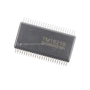 IC Puce Circuit Intégré Composants Électroniques LCD Pilote Contrôleur SSOP-48 TM1621B - Product Image 1
