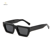 Lunettes de soleil polarisées en acétate avec logo personnalisé - Monture épaisse haut de gamme, confortables et offrant une protection UV pour la mode unisexe