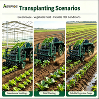 2-rijige rijstoeter voor groenten, 9000-10800 planten/uur, voor het planten van sla, tomaat, paprika & broccoli in kassen