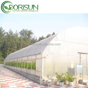 省エネと環境保護シングルスパン温室農業温室