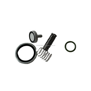 2901139900 Repair Kit Minimum Pressure Valve Suitable for Manny Compressor - Product Image 1