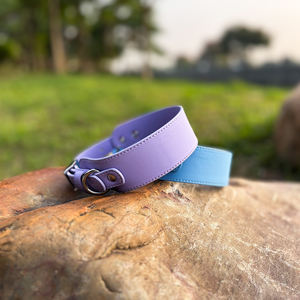 360 Beauty Fashion Durable Ring Handle Luxury Pet Lead Custom Print Logo Correa para perro con botella de agua colgante - Product Image 4