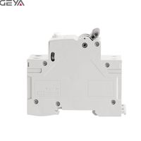 Interruptor Diferencial GEYA GYR9N-AC 2P 6A-25A 30mA/100mA/300mA RCBO/RCCB/RCD/ELCB