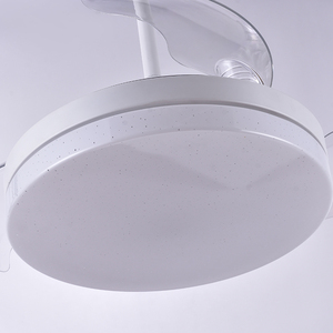 Ventilateur de plafond rétractable moderne BaoShan 36/42 pouces avec télécommande, lumière LED, garantie de 2 ans, métal+PC, durée de vie de 10 ans, DS0051-36 C - Product Image 6