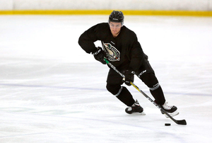 OEM tùy chỉnh nhà máy nhựa uhmwpe Hockey tổng hợp băng trượt băng sân - Product Image 4