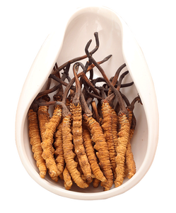 السائبة الطازجة المجففة كورديسيبين شيتاكي mycelium كامل teins كورديسيبس سينينسيس الفطر كورديسيبس فطر فطر militaris الفطريات - Product Image 1